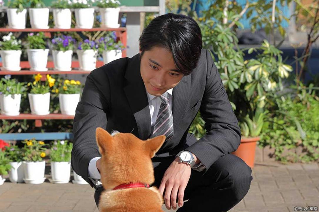 【金曜8時のドラマ】駐在刑事Season3