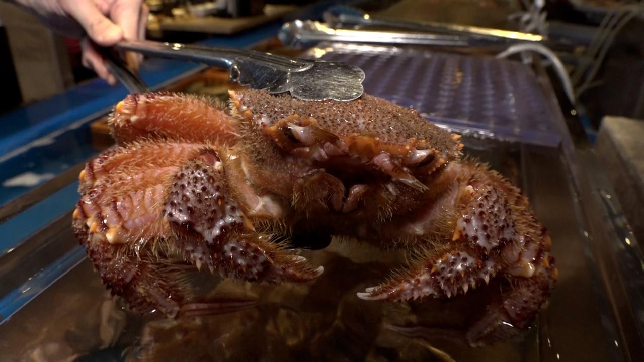 武豊 -THE ORIGIN- 〜始まりの地・函館〜