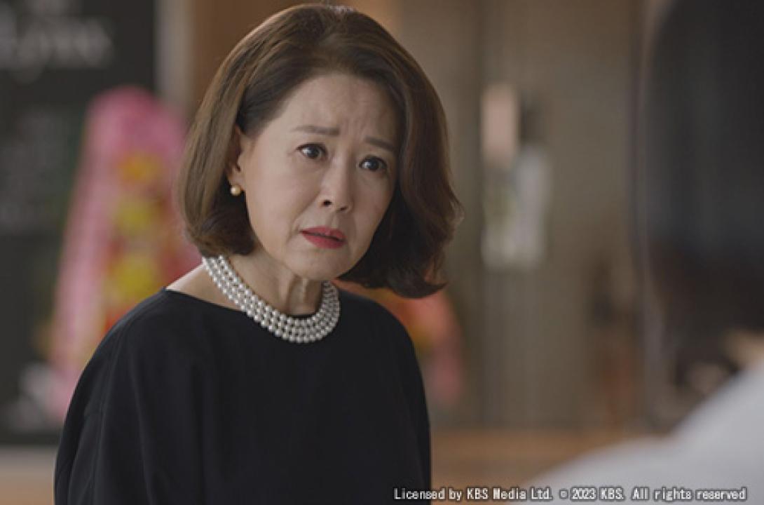 韓流プレミア 　本物（チンチャ）が現れた！～まさか結婚するなんて～