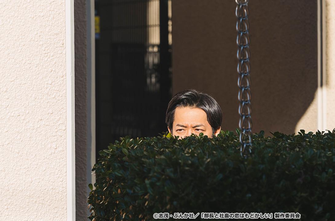 【ドラマParavi】部長と社畜の恋はもどかしい