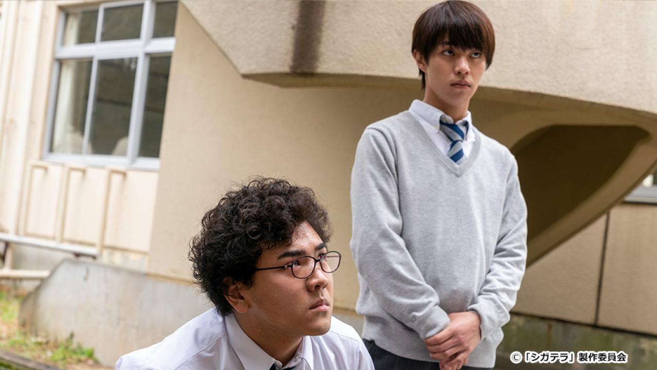 【ドラマ24】シガテラ