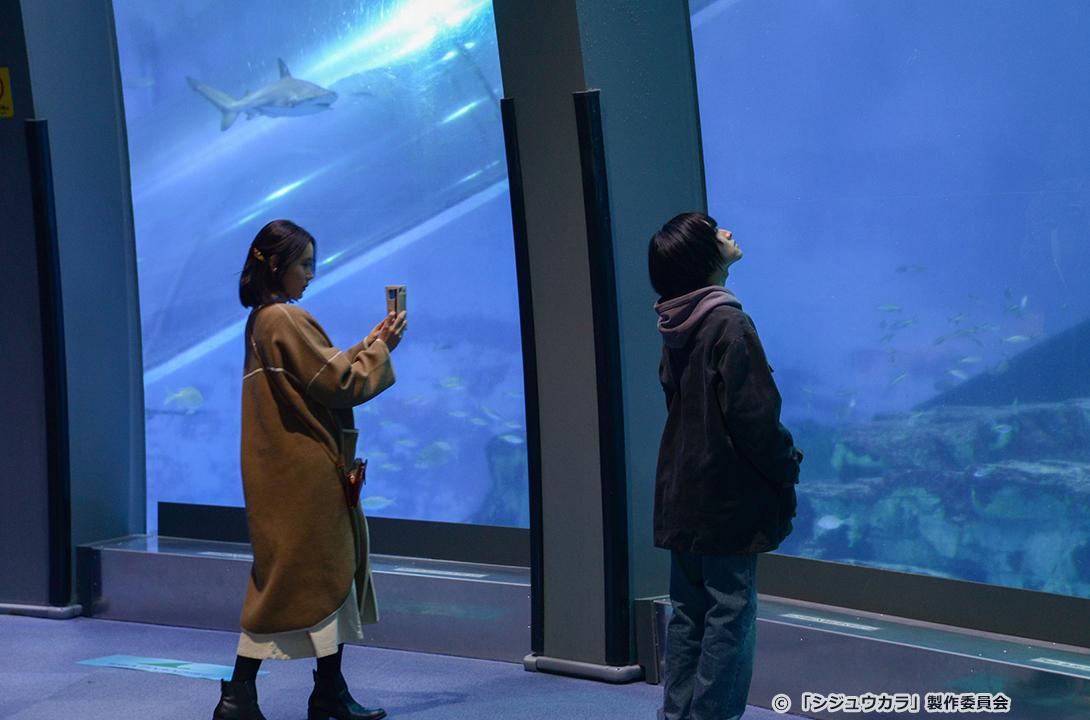 【ドラマ24】シジュウカラ