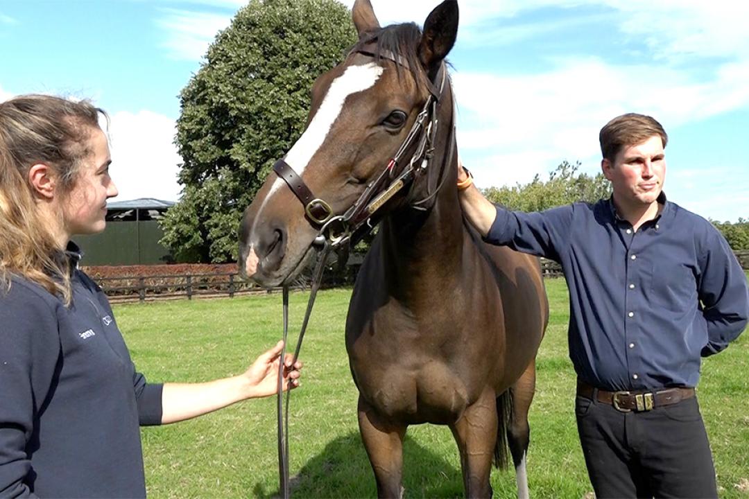 2019年のナッソーSを優勝した日本馬ディアドラの独占取材に成功（クールモアスタッドにて）
