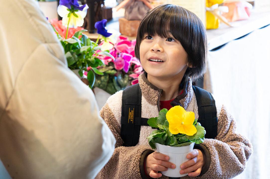 ドラマ9「元科捜研の主婦」