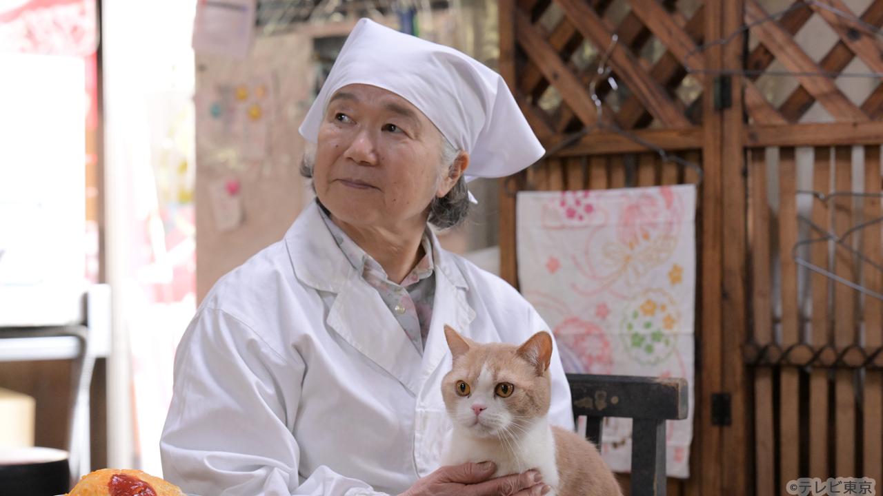 【木ドラ24】旅と僕と猫