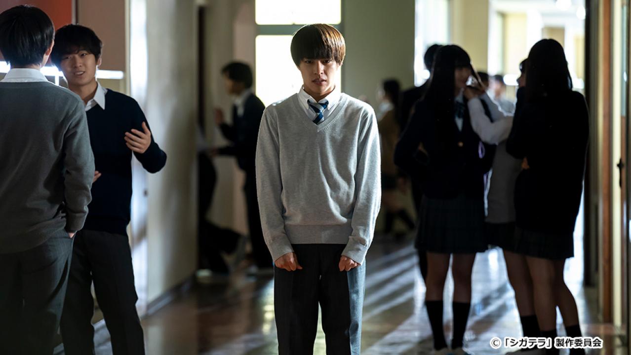 【ドラマ24】シガテラ