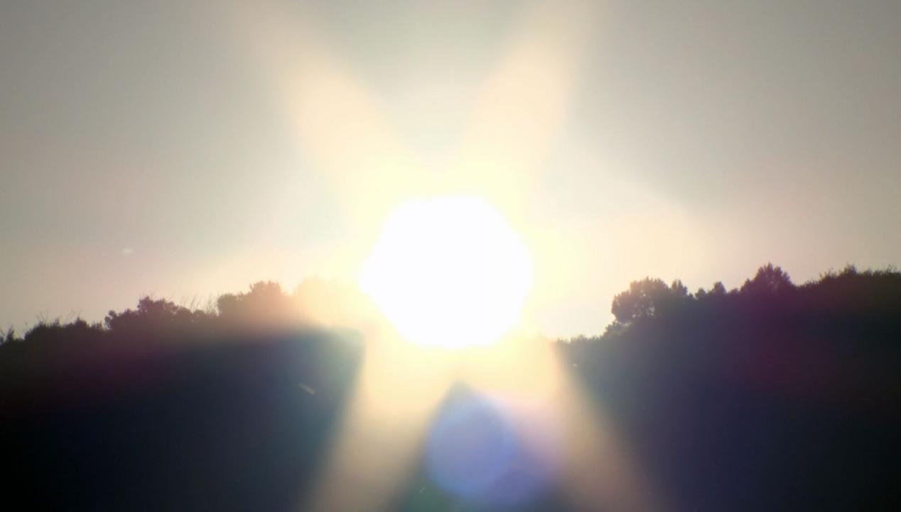 新春皇室の窓スペシャル～伊勢神宮を訪ねて～