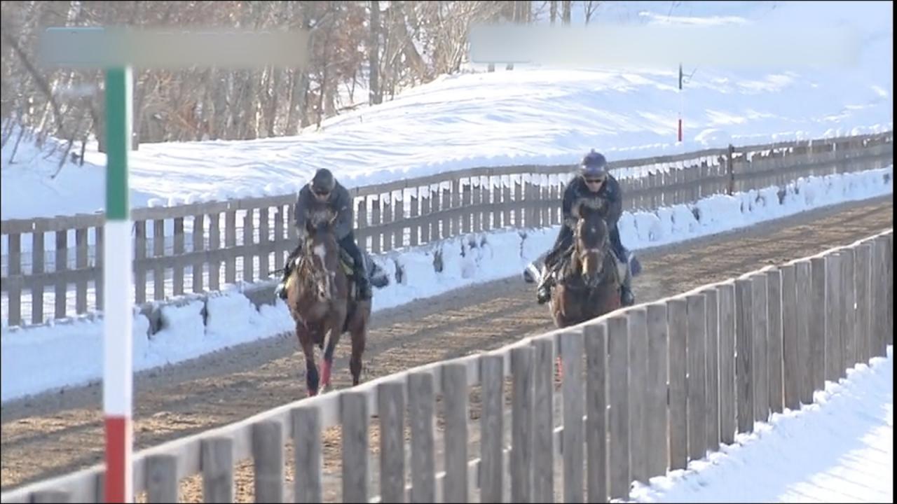 日本ダービー2023 ~夢舞台への軌跡~