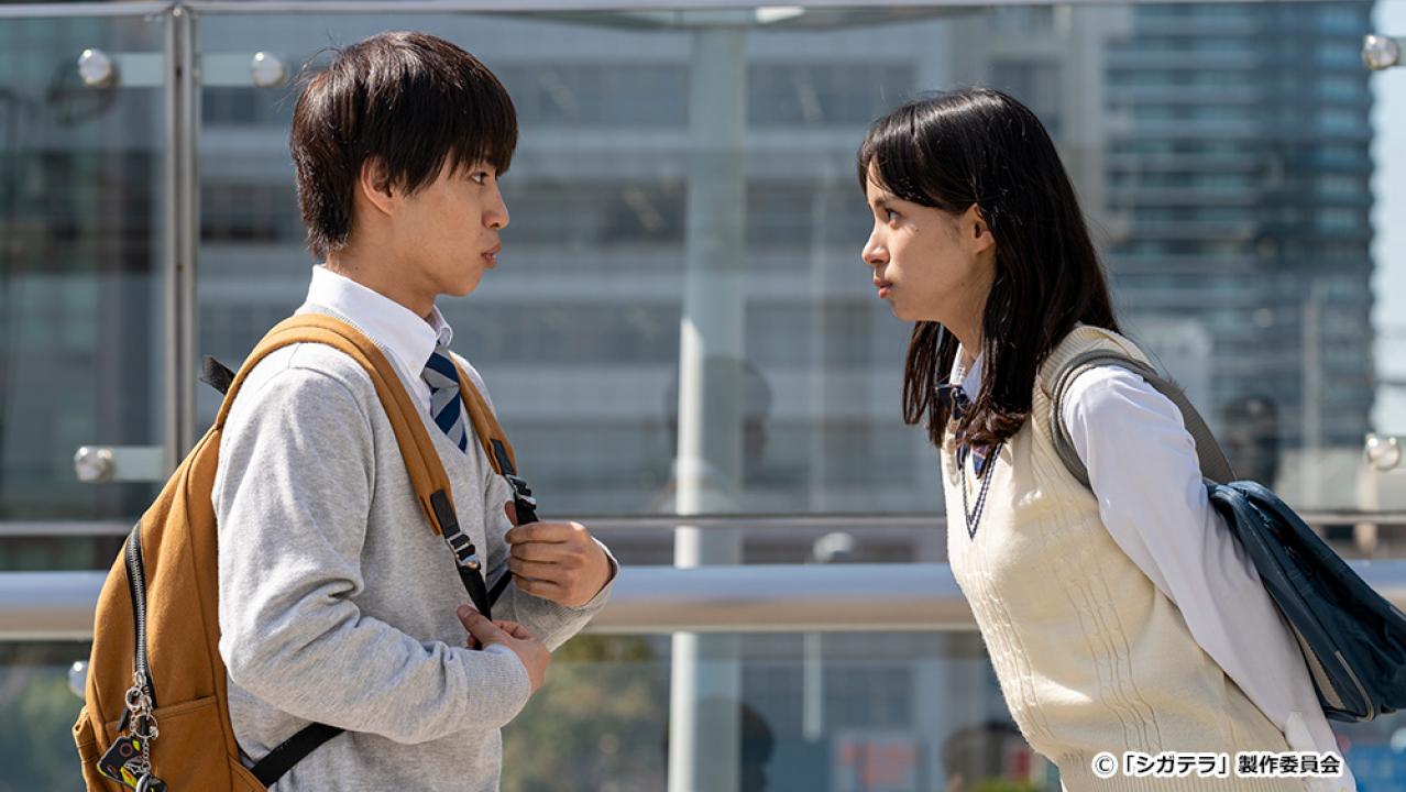 【ドラマ24】シガテラ