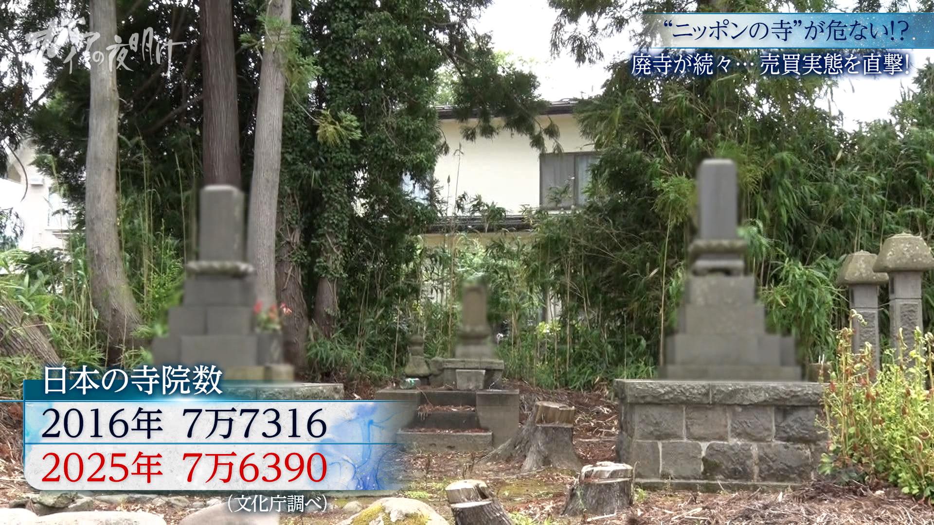 7／24ガイア