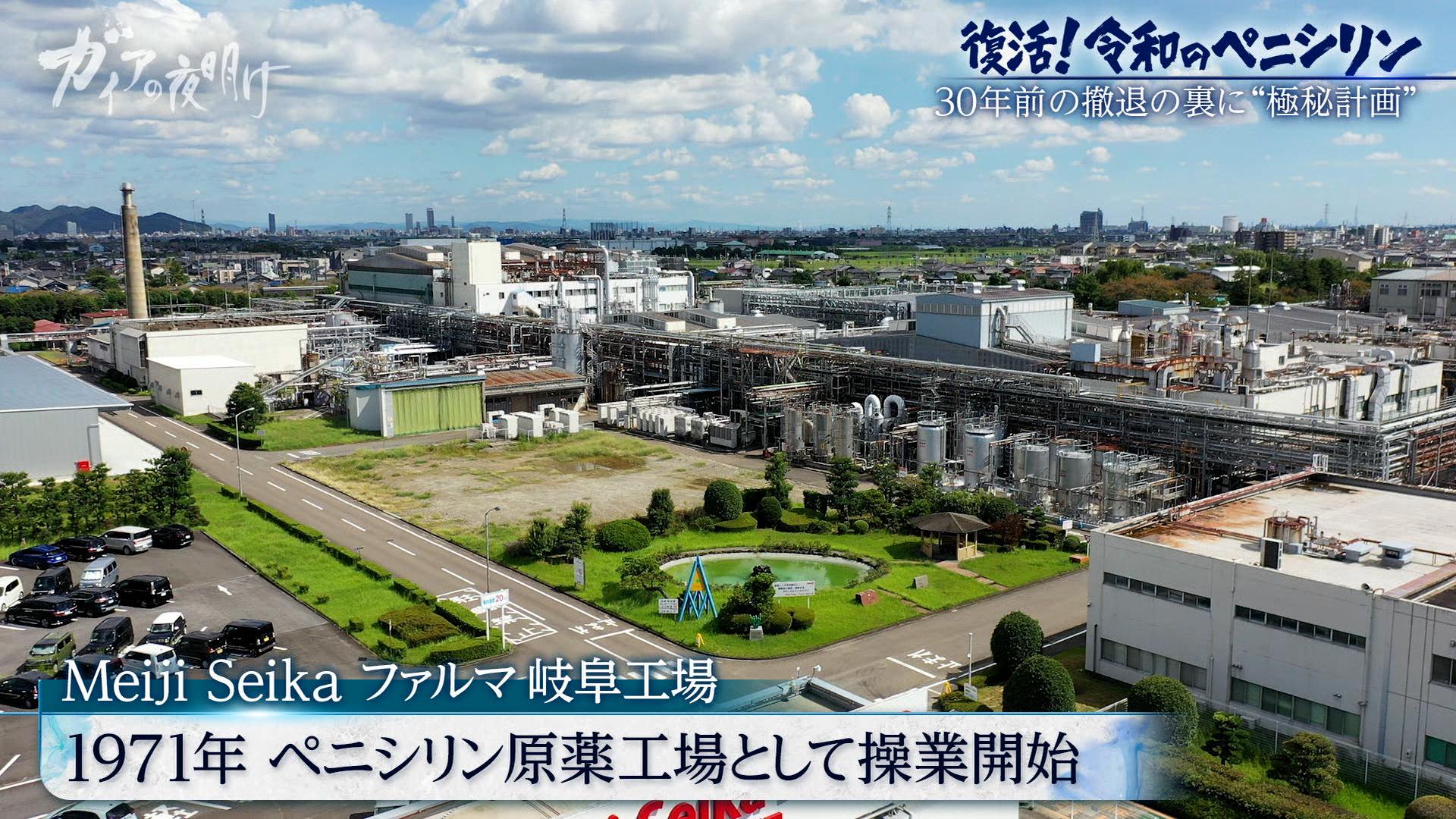 【薬の中国依存から脱却へ】30年ぶりに復活する「国産ペニシリン」製造の舞台裏：ガイアの夜明け