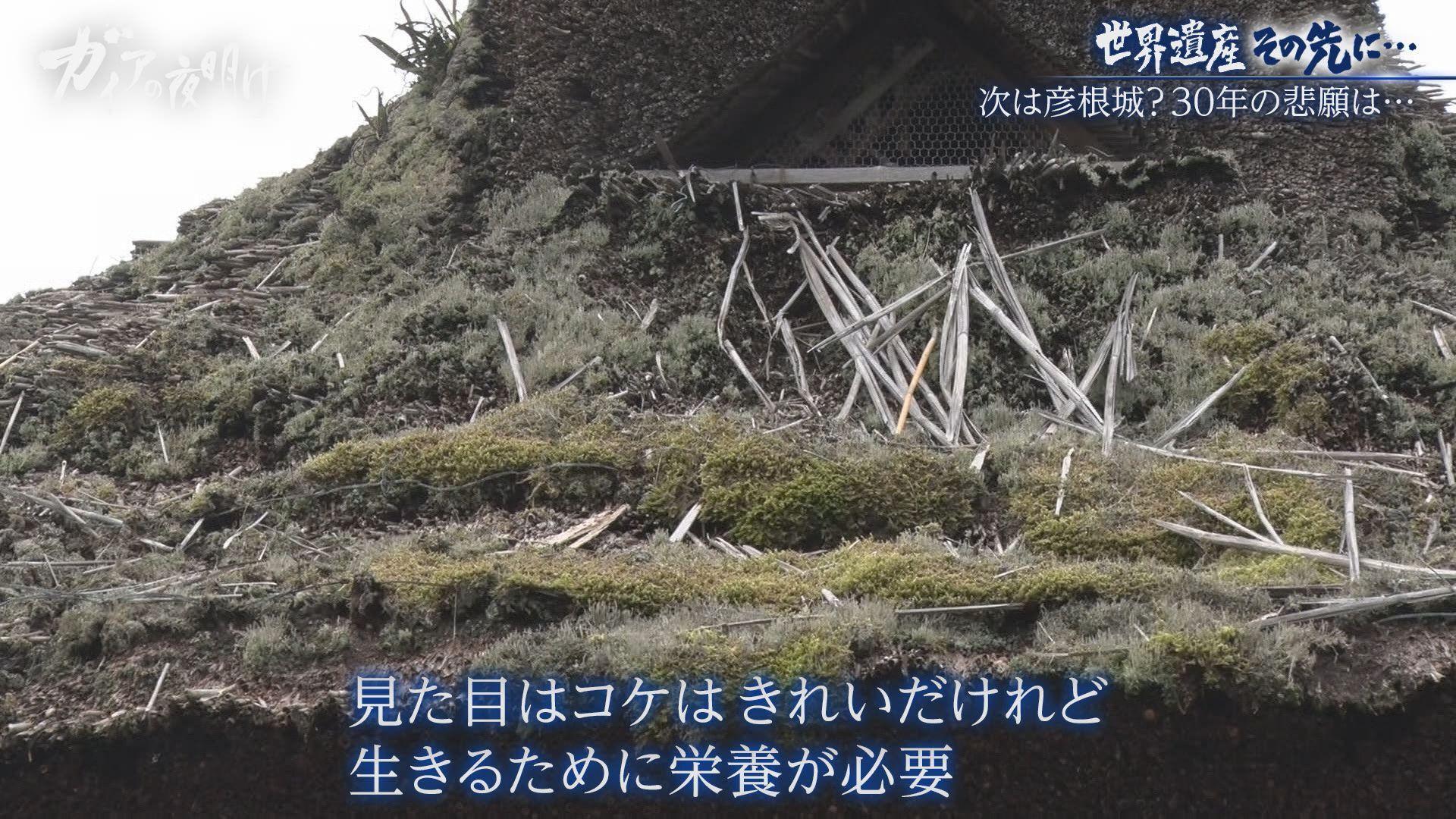 記事画像