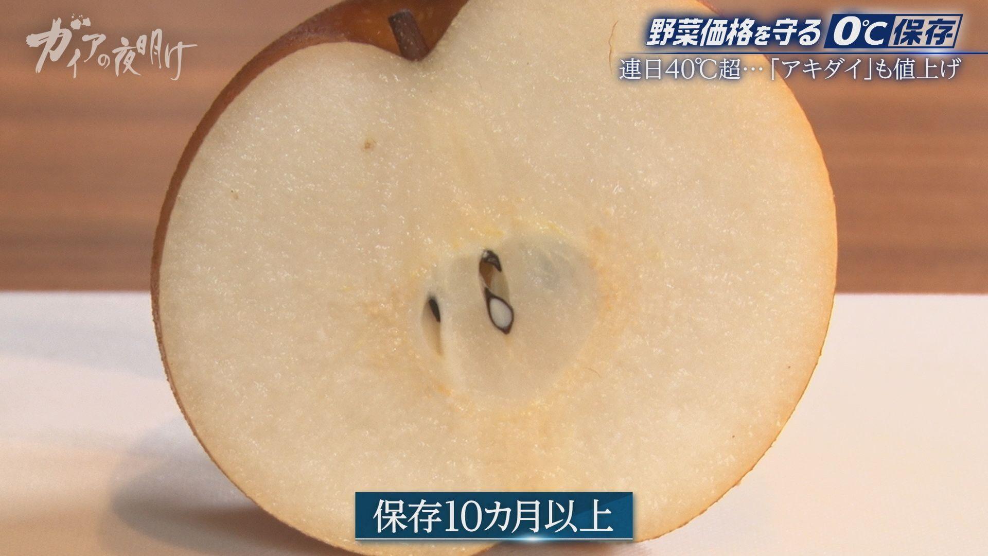 記事画像