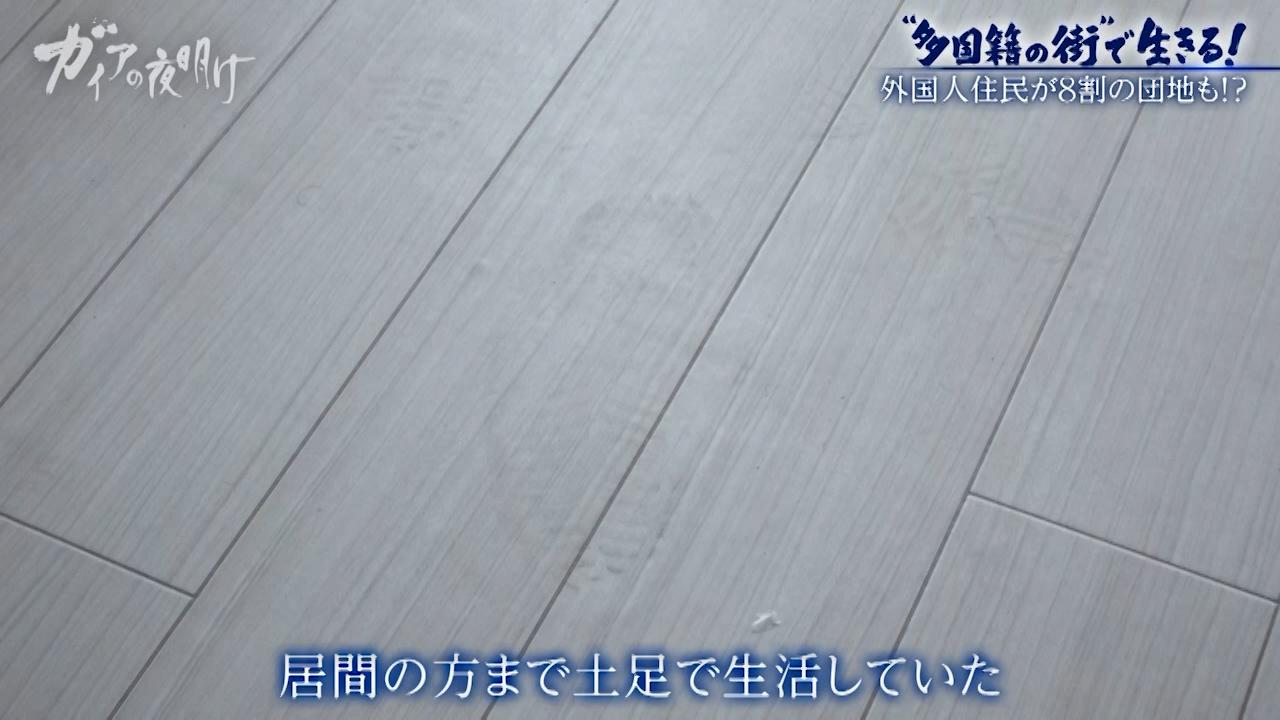 ガイアの夜明け