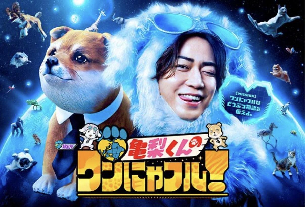 髙橋大悟アナ『超大型犬、探してます。』|アナ日記