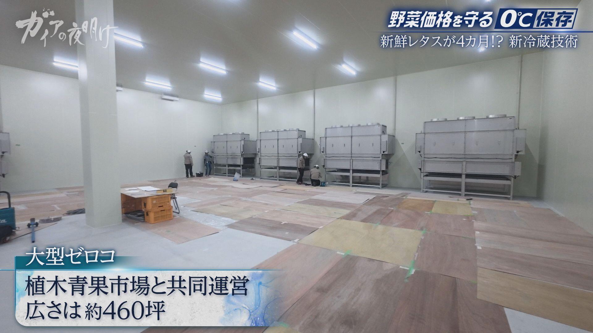 記事画像