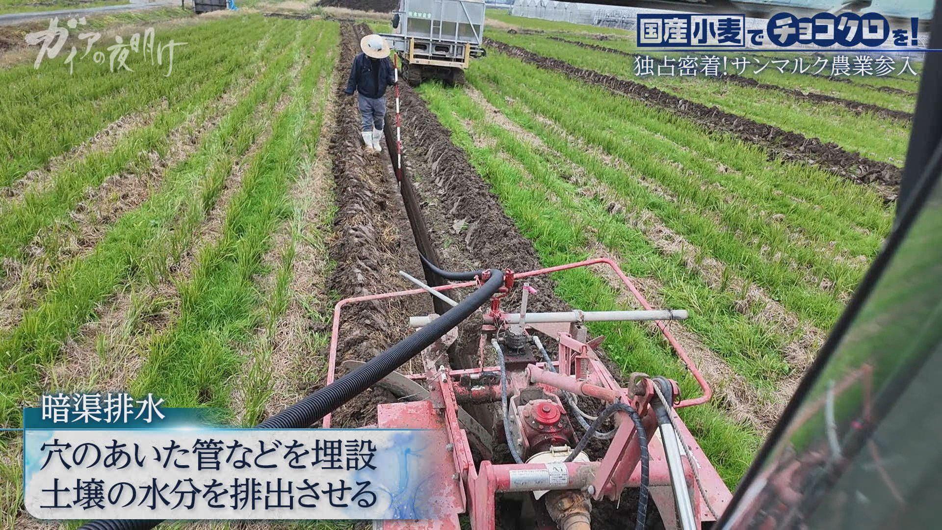 ガイアの夜明け