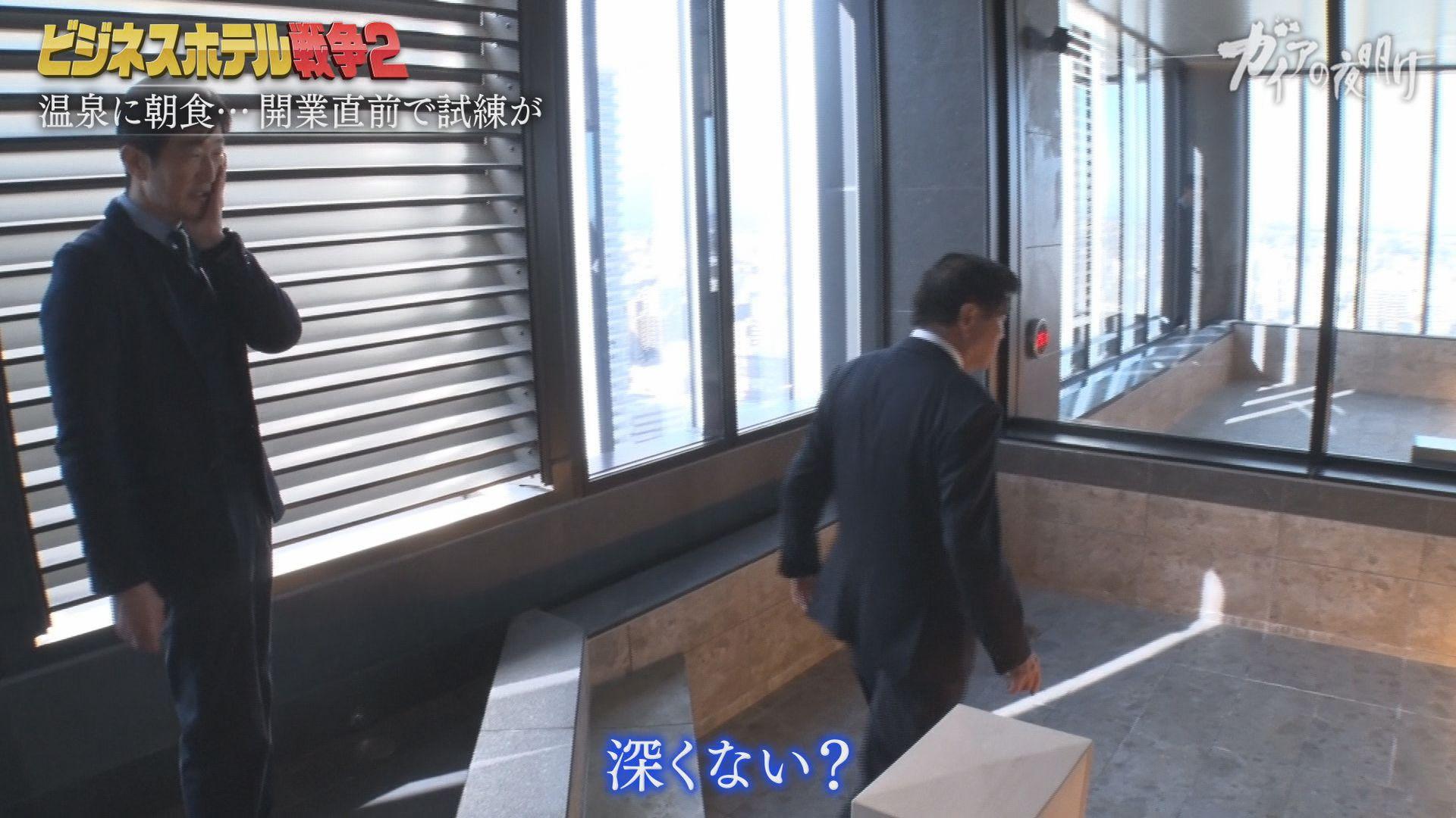 ガイアの夜明け