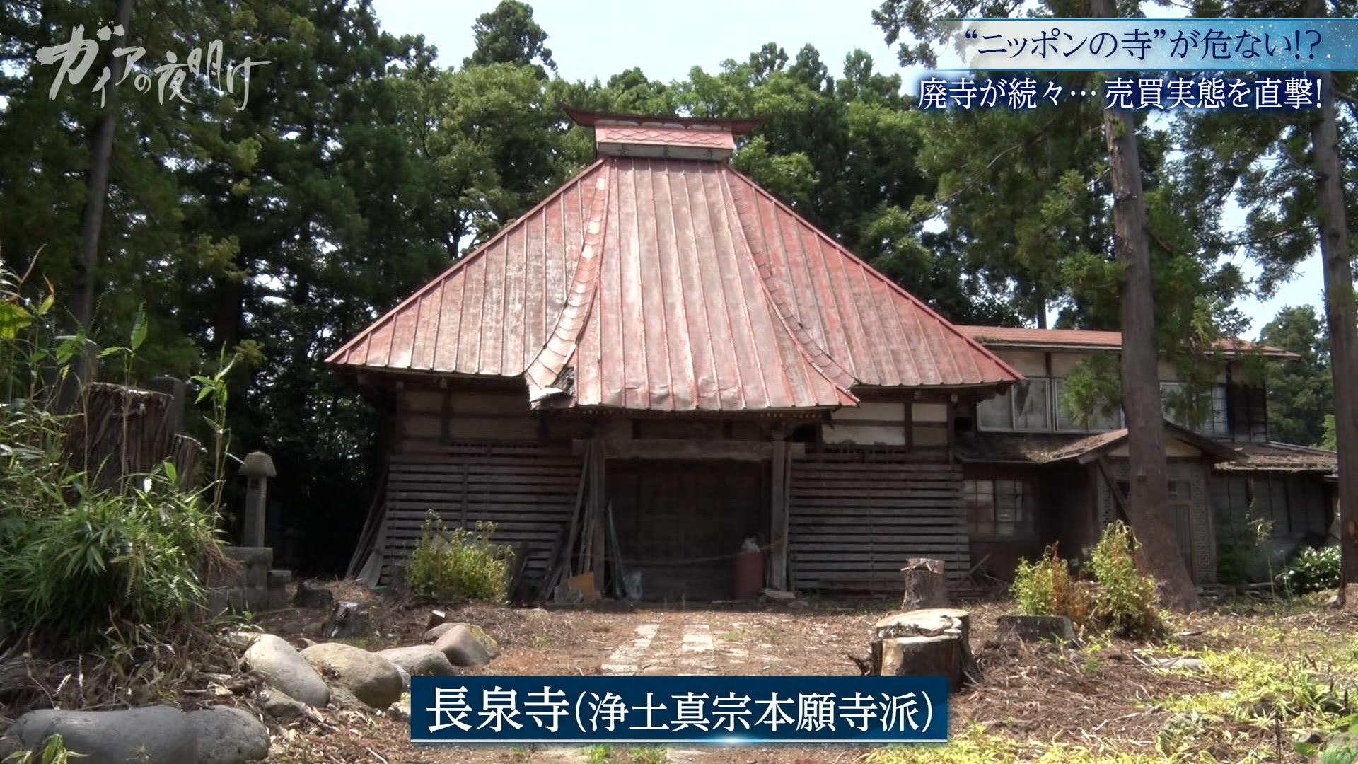 7／24ガイア