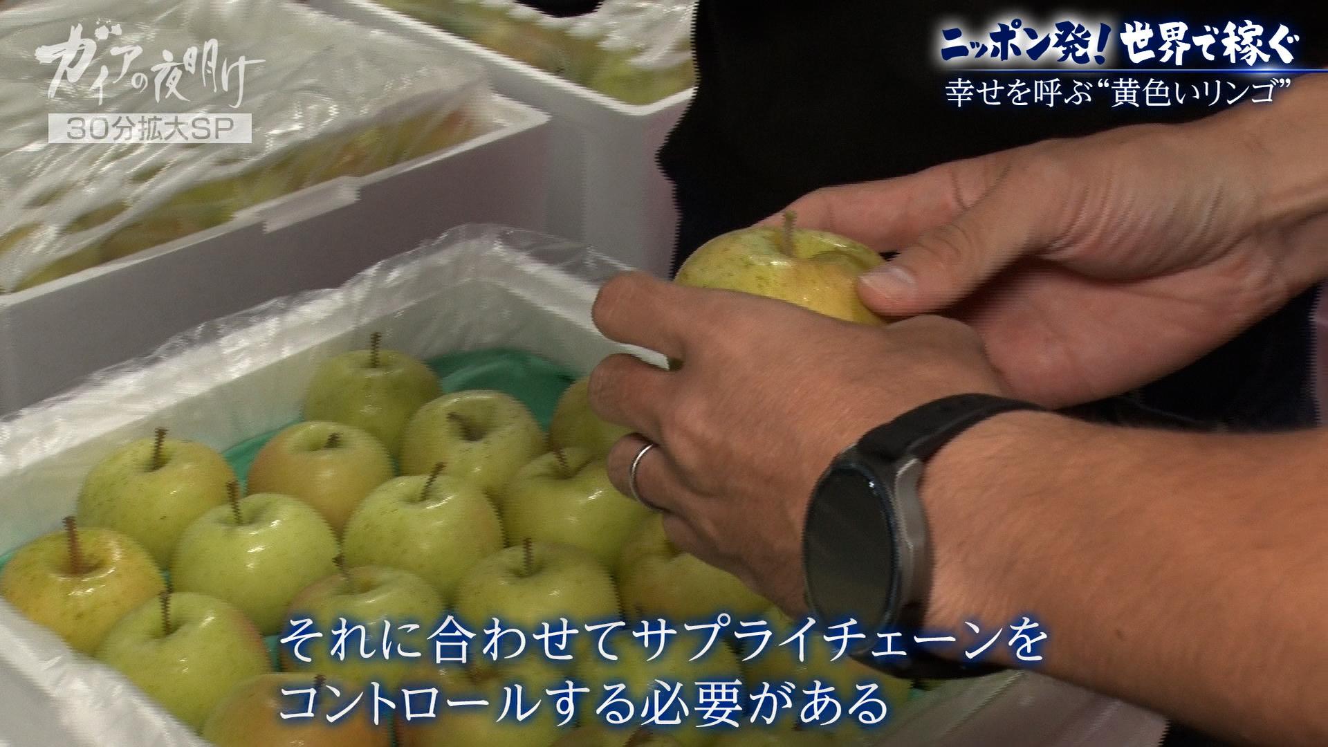 ガイアの夜明け