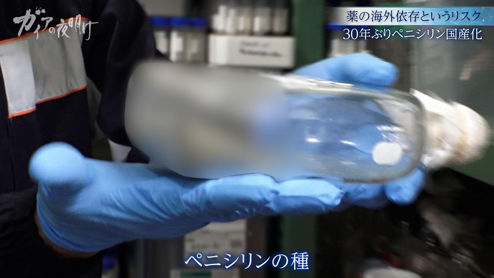 【薬の中国依存から脱却へ】30年ぶりに復活する「国産ペニシリン」製造の舞台裏：ガイアの夜明け