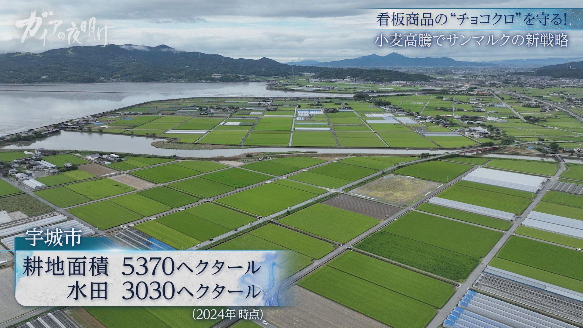 ガイアの夜明け