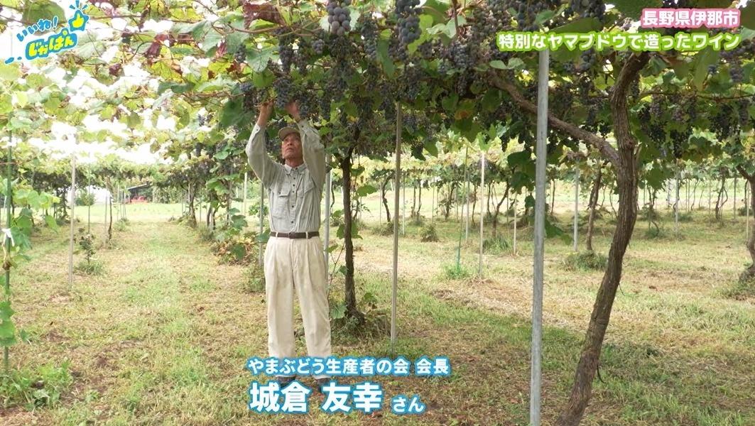 【日本一の給食の秘密】アルプスの恵みで育った米や野菜が地元と大都市の子供を繋ぐ