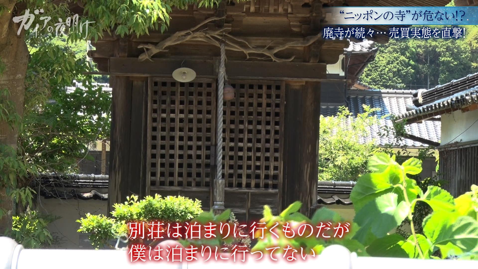 7／24ガイア