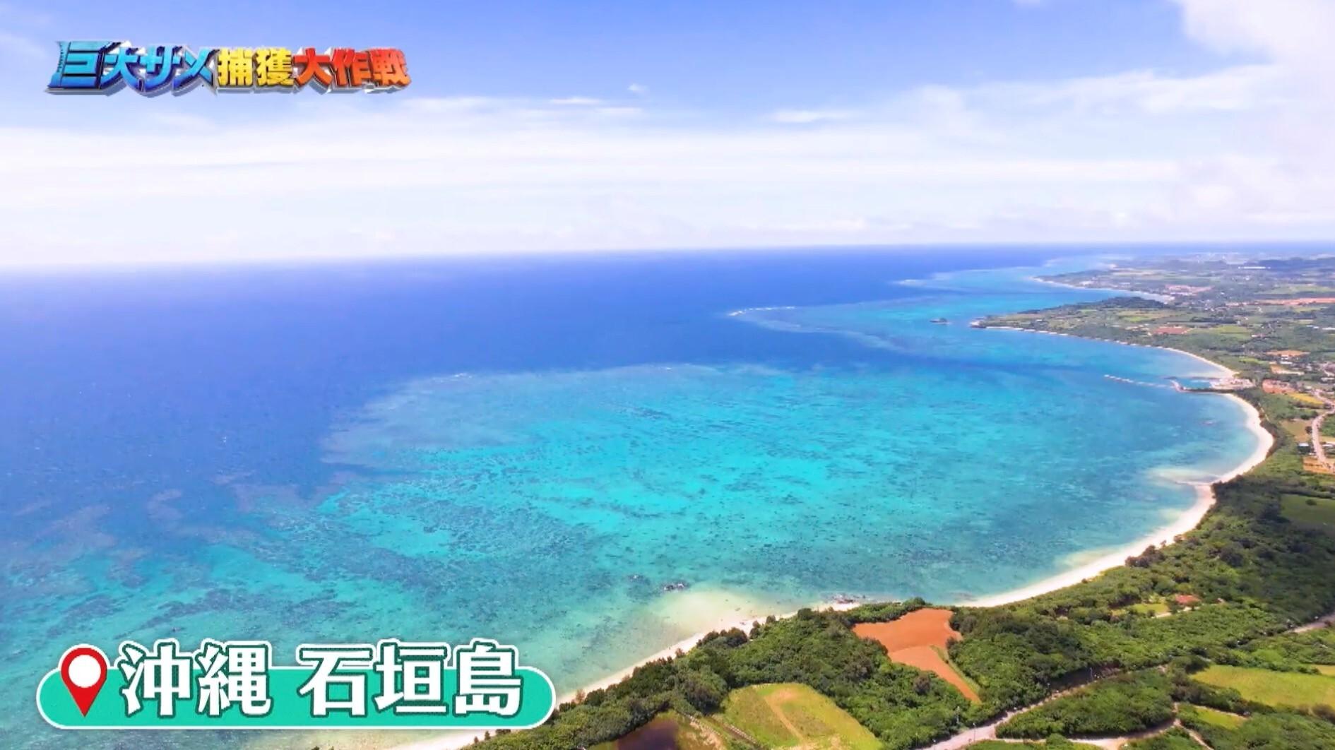 記事画像