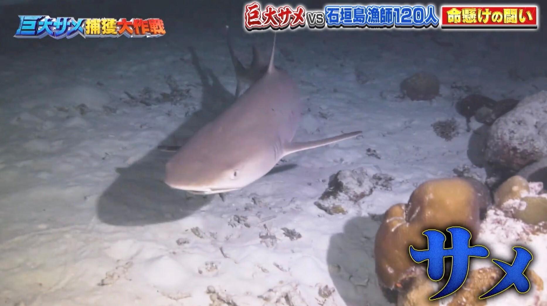 記事画像