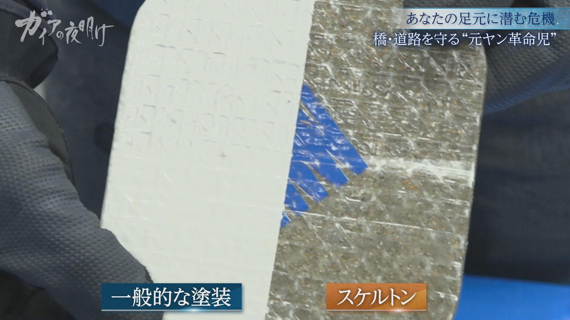 ガイアの夜明け