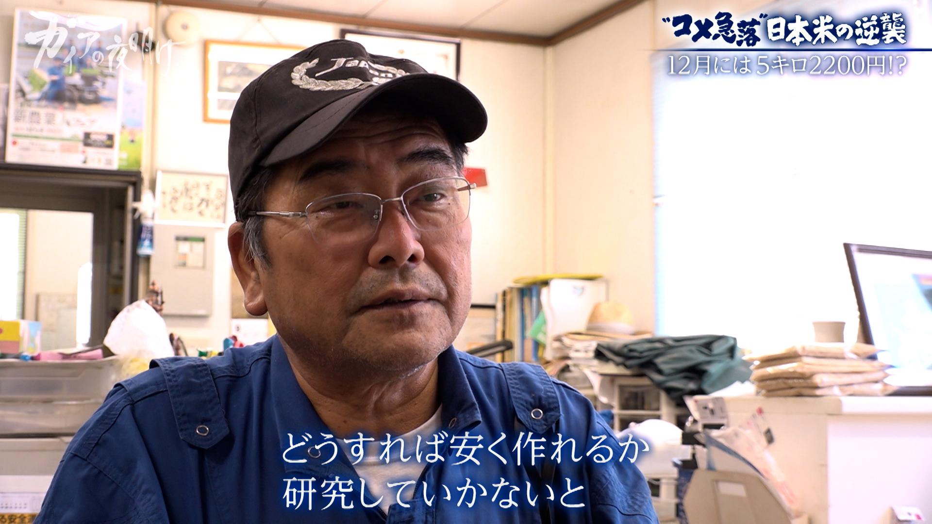 新米が2600円台…【コメ余り】価格急落に振り回される農家の悲鳴:ガイアの夜明け