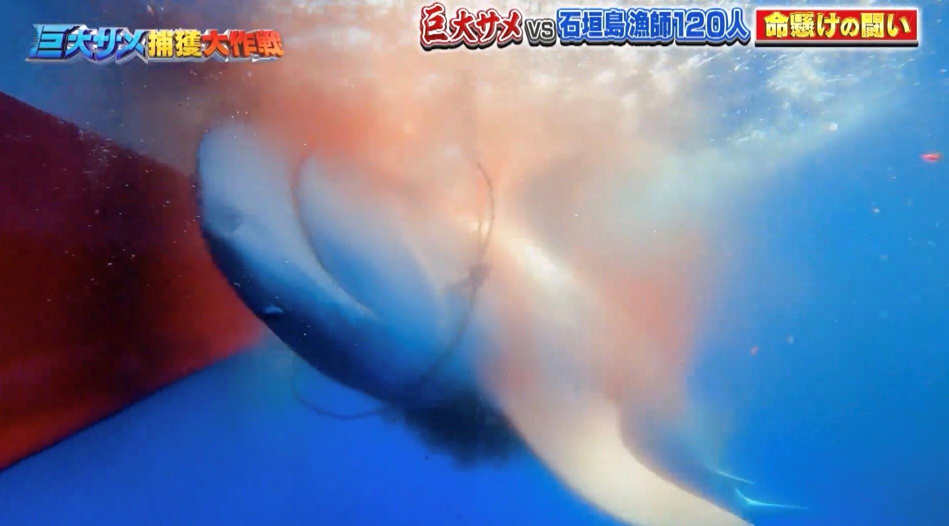 記事画像