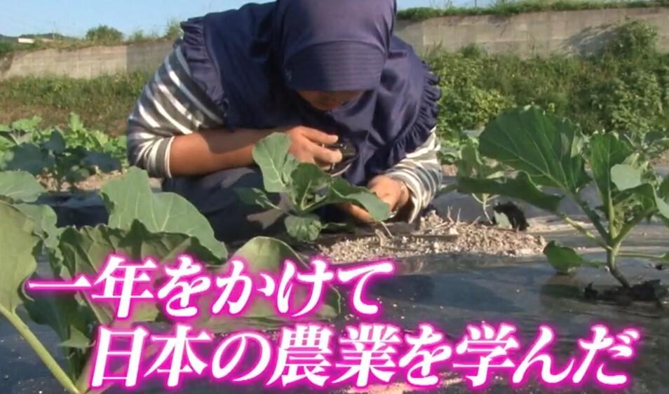 記事画像