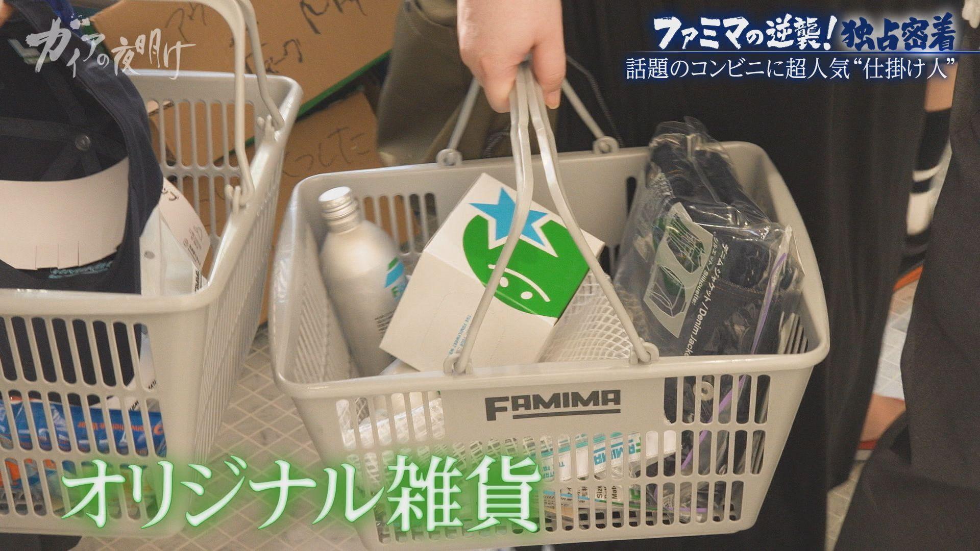 ガイアの夜明け