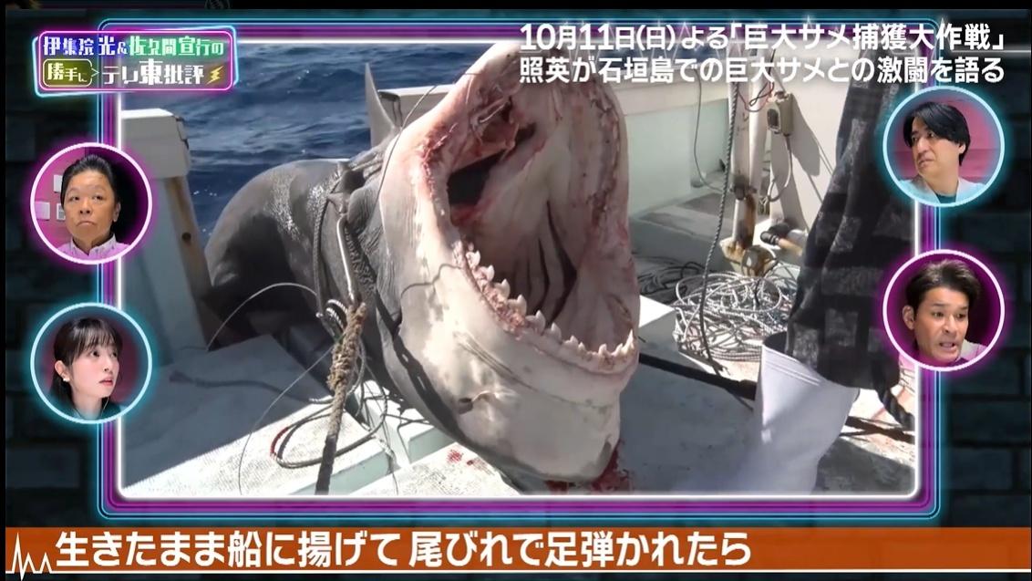 テレ東批評
