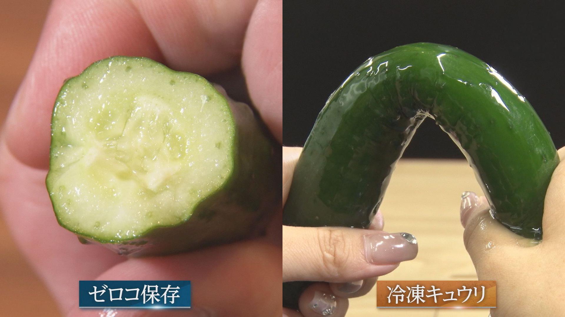 キュウリやトマト…夏野菜が高騰!農家を救う「0℃保存」新冷蔵技術とは:ガイアの夜明け