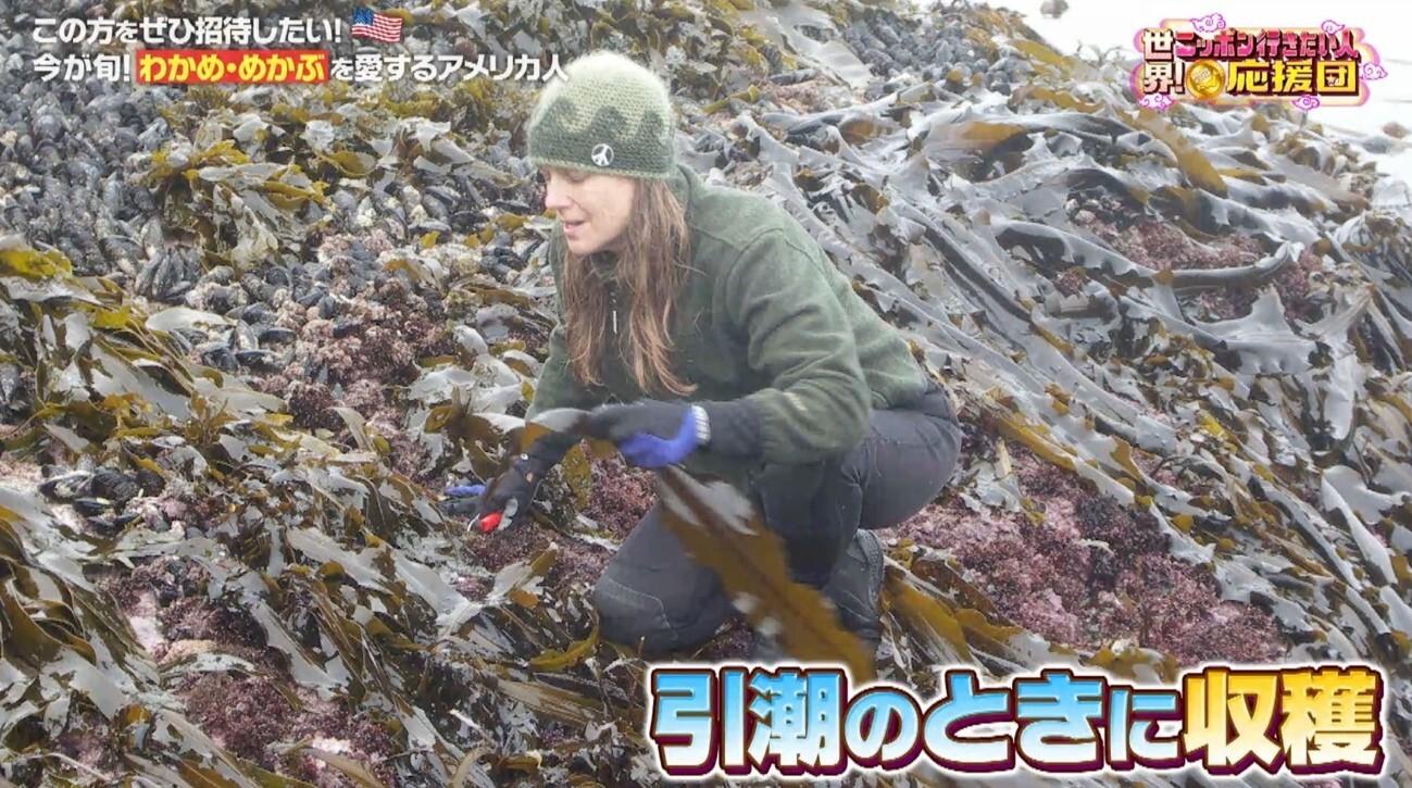 天然わかめの潜水漁に同行!初めての“めかぶ”をしゃぶしゃぶで豪快に!:世界!ニッポン行きたい人応援団
