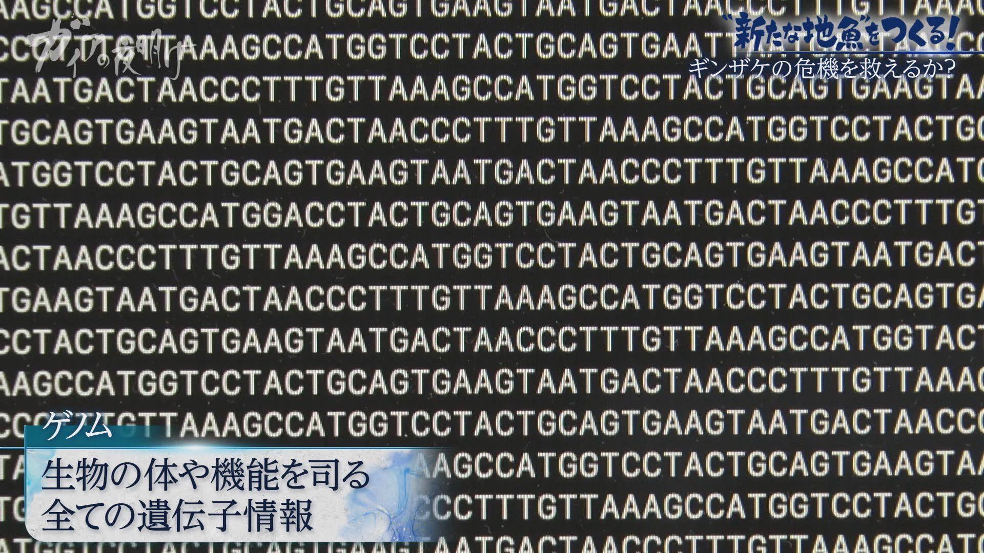 記事画像