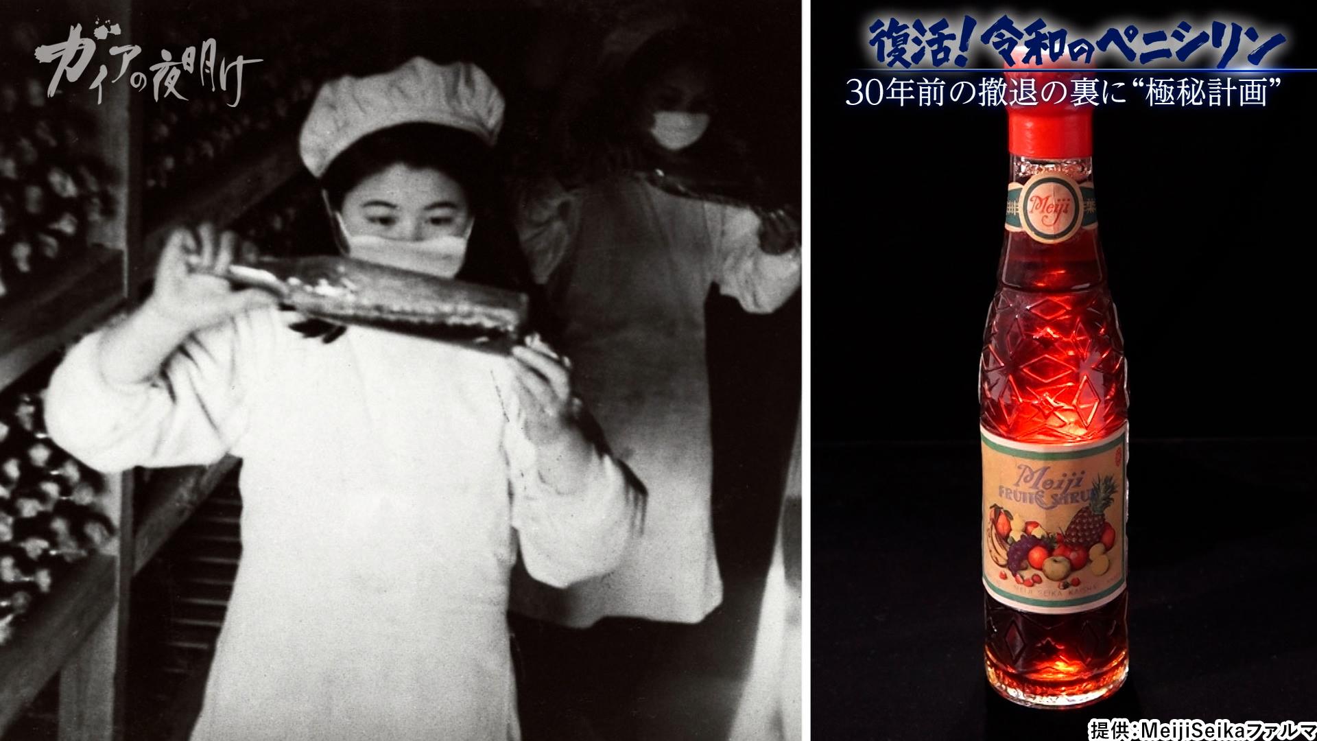 【薬の中国依存から脱却へ】30年ぶりに復活する「国産ペニシリン」製造の舞台裏：ガイアの夜明け