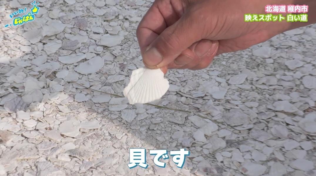 「いいね!ジャパン」北海道稚内市・利尻島