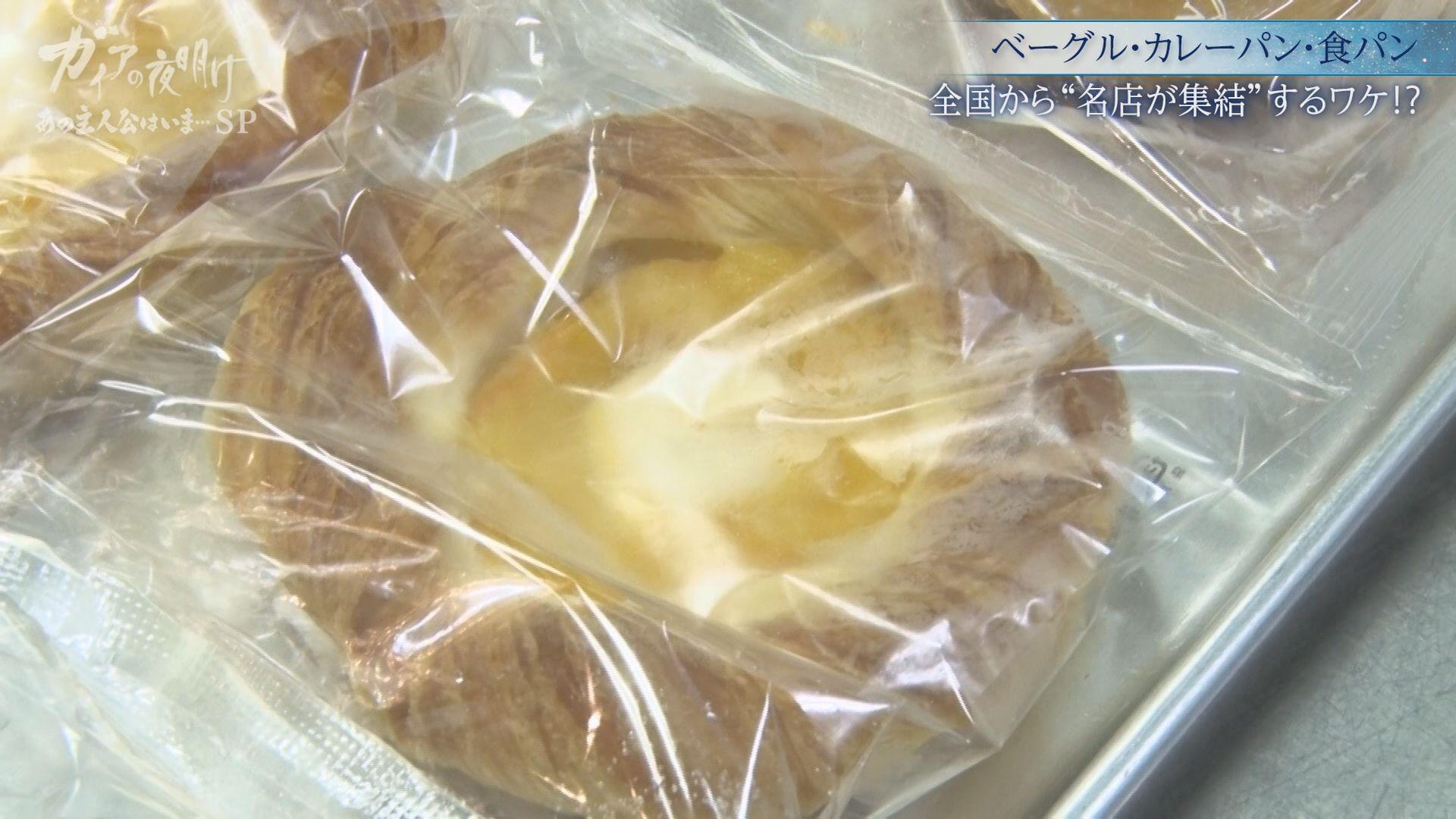 ガイアの夜明け