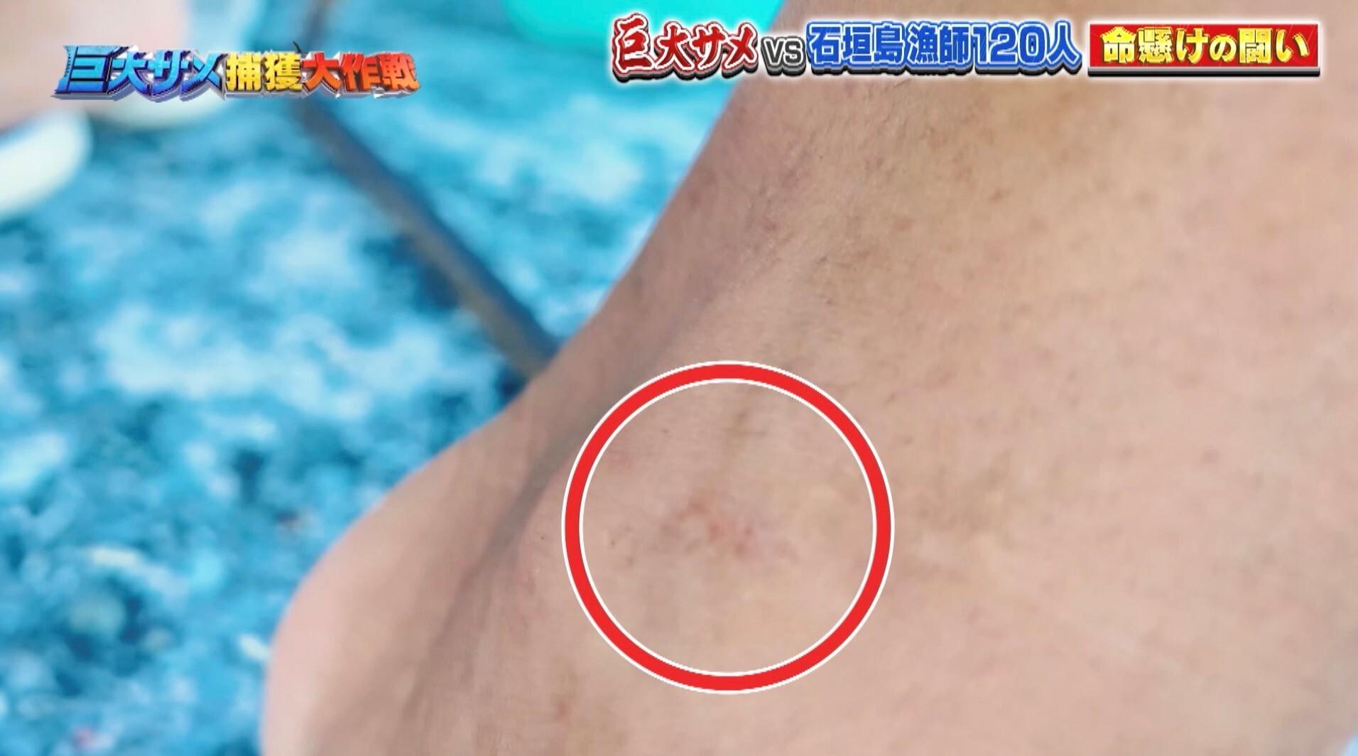 記事画像