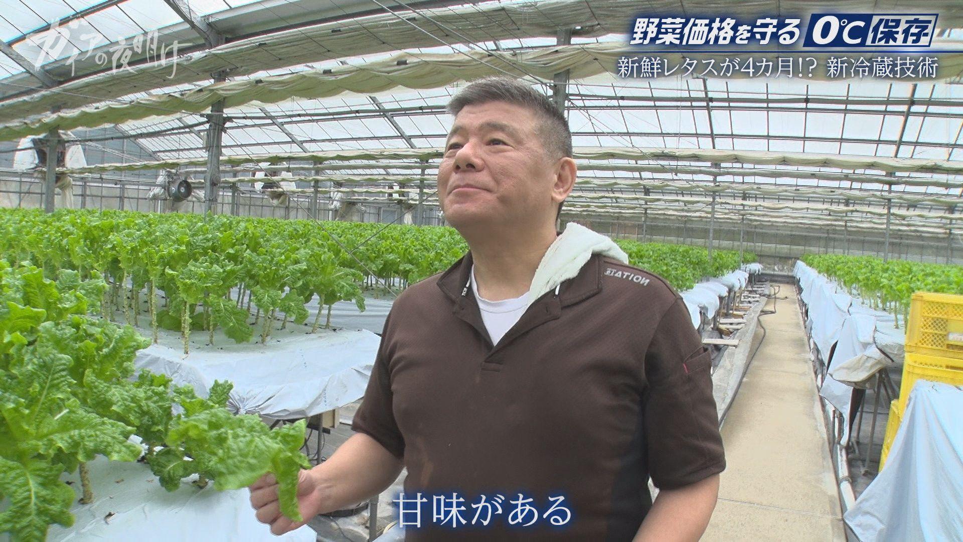 記事画像