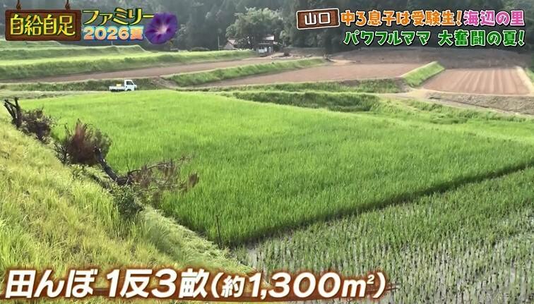 記事画像