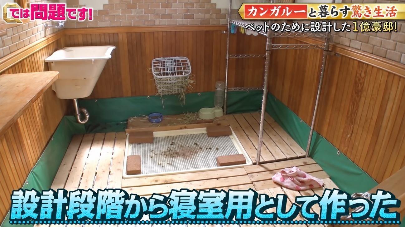 記事画像