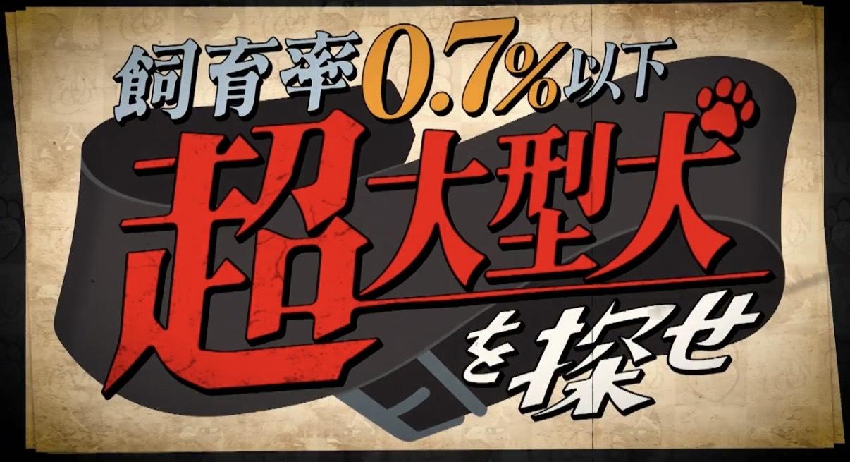 髙橋大悟アナ『超大型犬、探してます。』|アナ日記