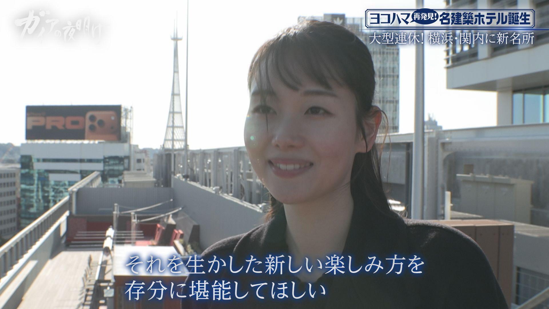 ガイアの夜明け