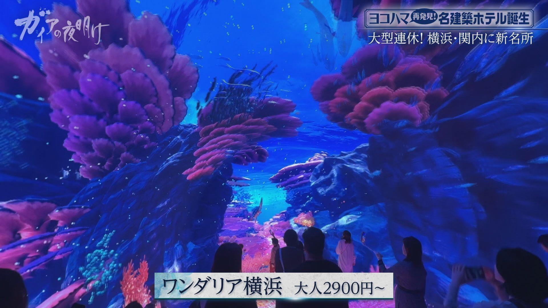 ガイアの夜明け