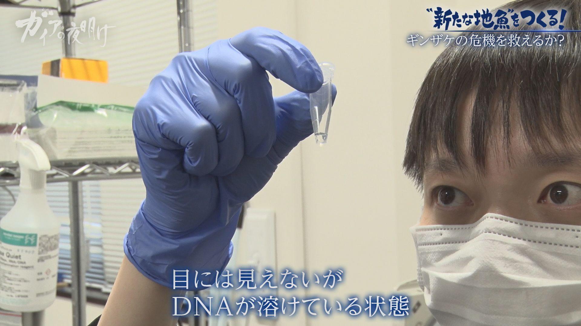 記事画像